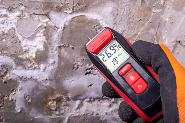 Pine Beach, NJ Mold Remediation Company