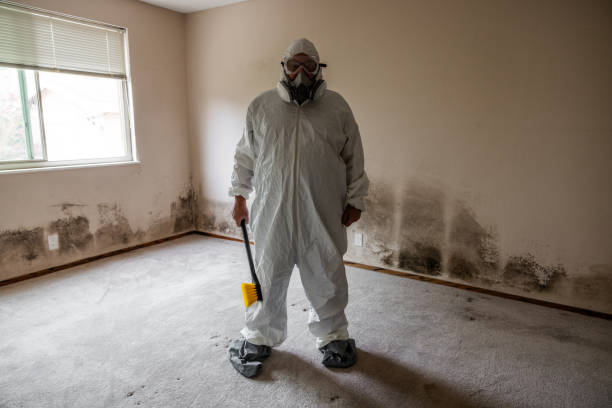Professional Mold Remediation in Pine Beach, NJ